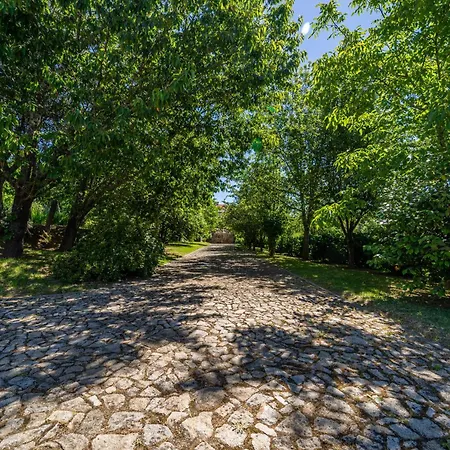 Eido Oliveira - - Ponte De Lima Holiday home Anais